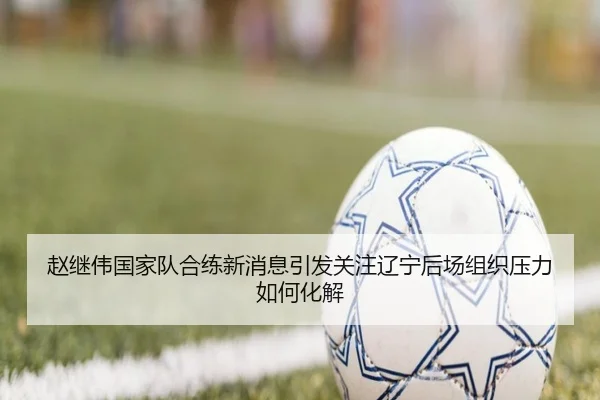赵继伟国家队合练新消息引发关注辽宁后场组织压力如何化解